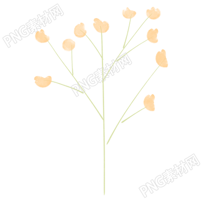 简约花朵枝干装饰插画