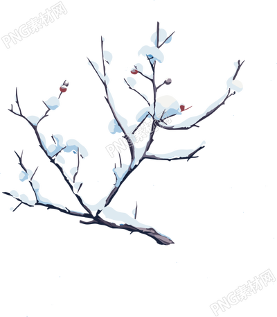 樹枝和積雪透明背景素材