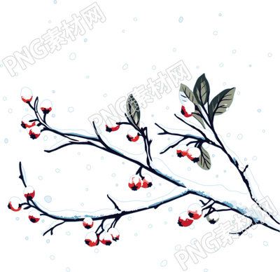冬季元素雪中紅漿果插畫