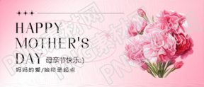 母亲节唯美康乃馨微信公众号首图