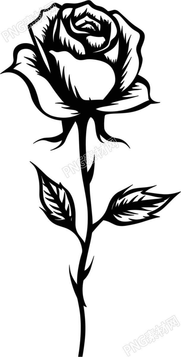 可商用黑白线描玫瑰花素材