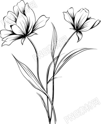 格?；ê诎资掷L線稿插圖