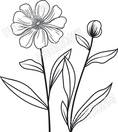 極簡(jiǎn)風(fēng)黑白手繪線條花卉葉子素描插畫