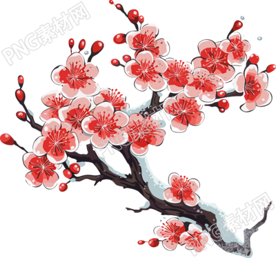 透明背景設(shè)計(jì)冬季梅花插畫