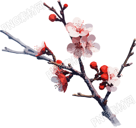 冬季梅花平面插画