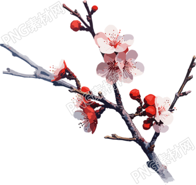 冬季梅花平面插畫