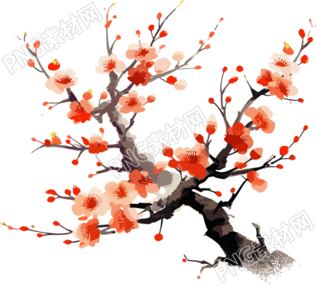 橙色梅花平面插画
