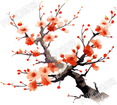 橙色梅花平面插畫