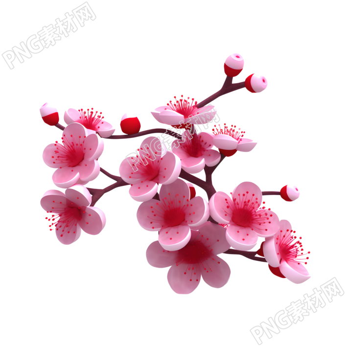 白色底面柔和照明梅花枝插画