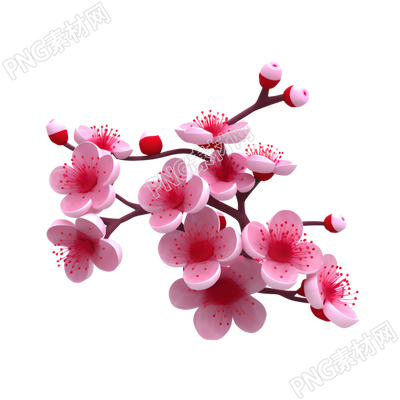 白色底面柔和照明梅花枝插畫(huà)