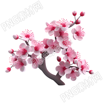 柔和粉彩3D梅花枝PNG圖元素素材