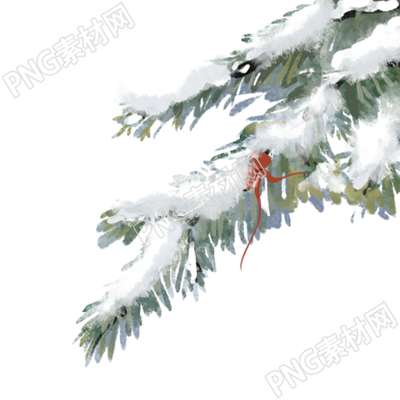 今日大雪被雪覆蓋的松枝手繪插畫
