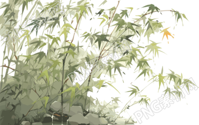 傳統(tǒng)工筆畫一大片竹林插畫