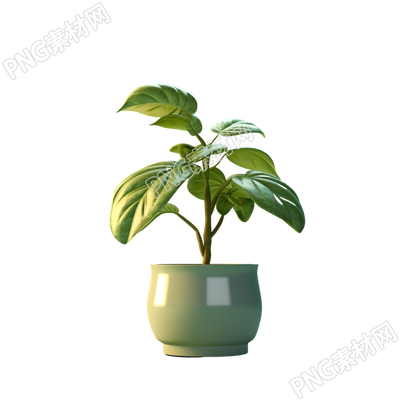 3D植物透明背景插圖