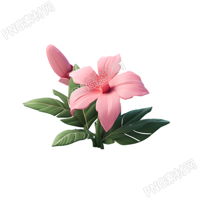 3D植物粉色花朵素材