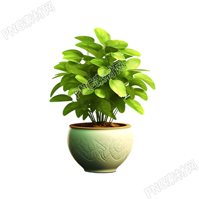 3D植物可商用插畫(huà)