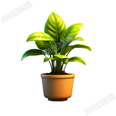 3D植物模型透明背景素材