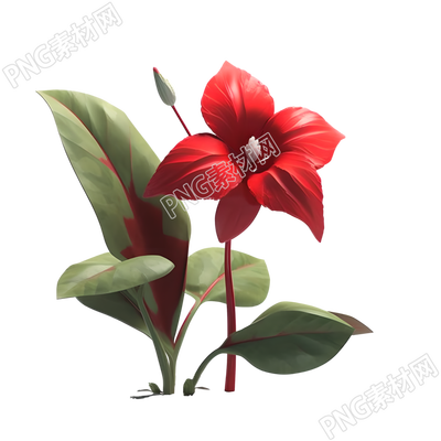 3D花卉三維模型插圖