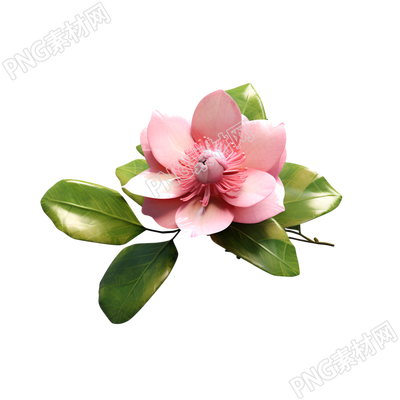 3D花卉簡(jiǎn)約風(fēng)格插圖