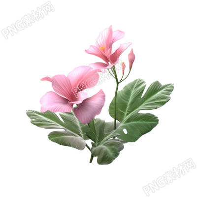 3D花卉細(xì)節(jié)渲染的模型素材