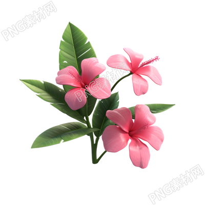 3D花卉透明背景高清圖形素材