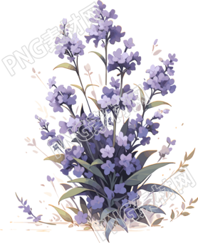 薰衣草水彩画