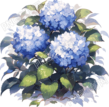 水彩花卉画的PNG图形素材