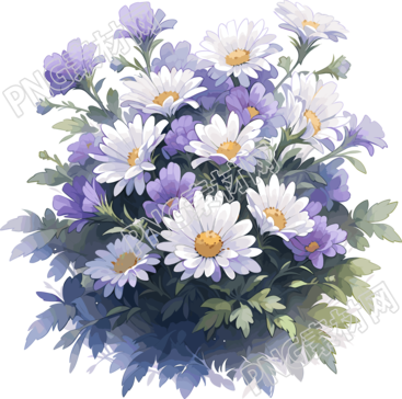 紫色雏菊透明背景PNG图形素材