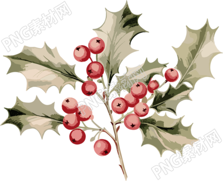 圣诞节树枝和冬青破旧时尚粉色复古圣诞节插图