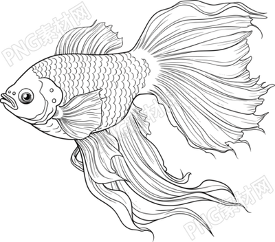 卡通風(fēng)格的翅膀魚插畫