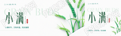 24节气小满极简风公众号封面图