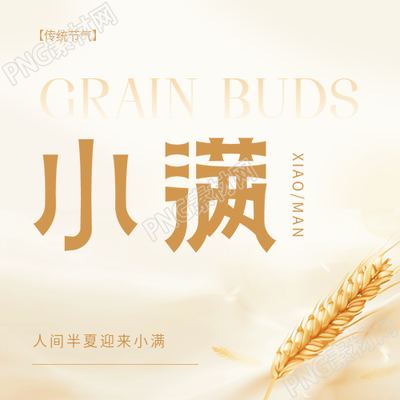 今日小满小麦实景微信公众号次图