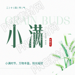 小满时节白色简约微信公众号次图