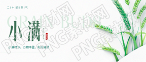 小满节气麦子实景微信公众号首图