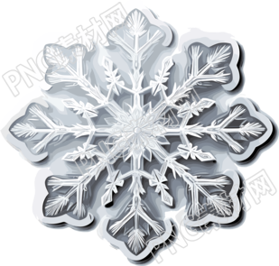 白邊白底高清精細(xì)8K雪花貼紙