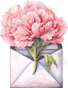 花束禮品封面插畫