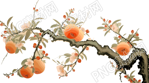 桃子高清质量素材