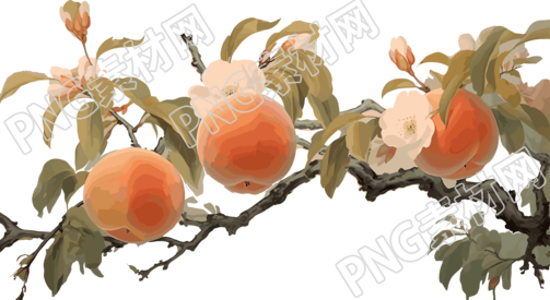 水彩桃子动画插图