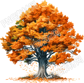 秋天的大樹手繪插畫