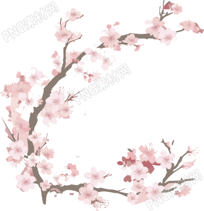 梅花插圖計劃