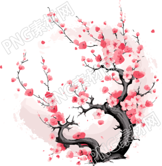 中国风白底梅花插画