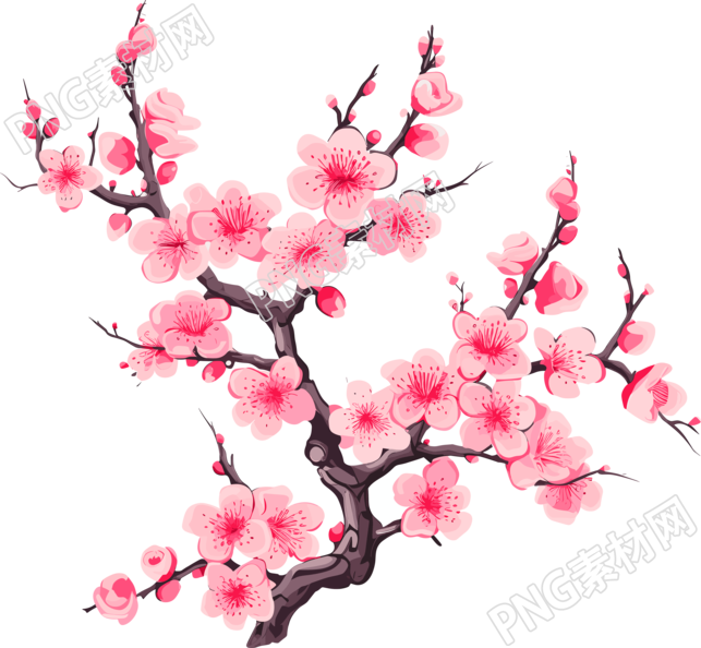 梅花插画计划