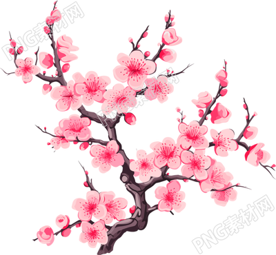 梅花插畫計劃