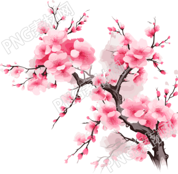 白底中国风梅花插画