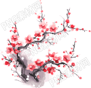 梅花插圖計(jì)劃