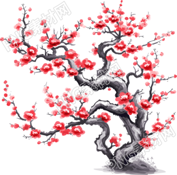白底中国风梅花插画设计