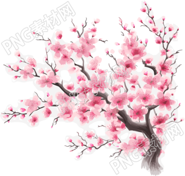 梅花插畫計(jì)劃
