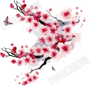 梅花插畫素材