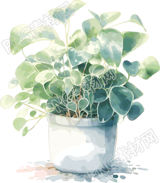 盆栽貼紙清新簡約插圖