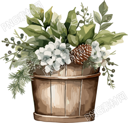 圣诞节绿植盆栽水彩风插画